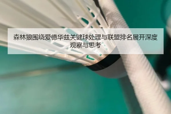 森林狼围绕爱德华兹关键球处理与联盟排名展开深度观察与思考