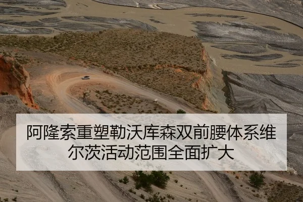 阿隆索重塑勒沃库森双前腰体系维尔茨活动范围全面扩大